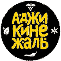 Аджикинежаль